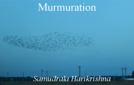 Murmuration