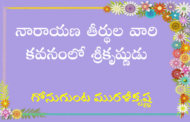 నారాయణ తీర్థుల వారి కవనంలో శ్రీకృష్ణుడు