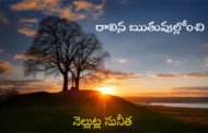 రాలిన ఋతువుల్లోంచి