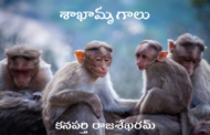 శాఖామృగాలు