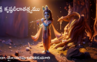 శ్రీ కృష్ణలీలాతత్త్వము