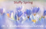 Stuffy Spring