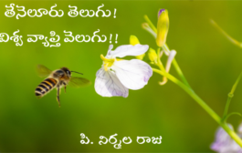తేనెలూరు తెలుగు! విశ్వ వ్యాప్తి వెలుగు!!