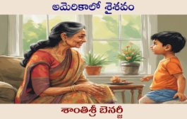 అమెరికాలో శైశవం