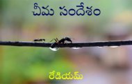 చీమ సందేశం