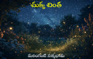 చుక్క చింత