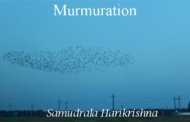 Murmuration