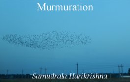 Murmuration