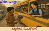 నేరేడు పండ్లు