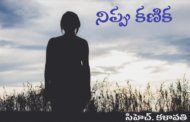 నిప్పు కణిక