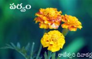 పర్వం