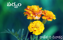 పర్వం