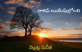 రాలిన ఋతువుల్లోంచి