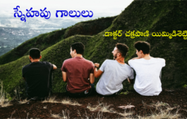 స్నేహపు గాలులు