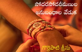 సోదరసోదరీమణుల అనుబంధాల వేడుక