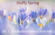 Stuffy Spring