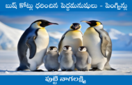 బుష్ కోట్లు ధరించిన పెద్దమనుషులు - పెంగ్విన్లు