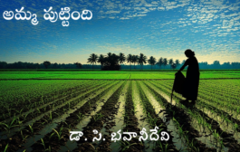 అమ్మ పుట్టింది