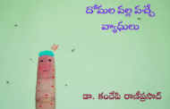 దోమల వల్ల వచ్చే వ్యాధులు