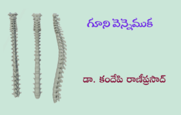 గూని వెన్నెముక