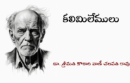 కలిమిలేములు