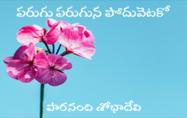 పరుగు పరుగున పోదువెటకో
