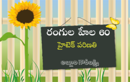 రంగుల హేల 60: హైటెక్ పరిణతి