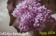 సజీవత్వం మాయమైతే