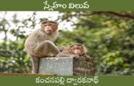 స్నేహం విలువ