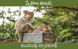 స్నేహం విలువ