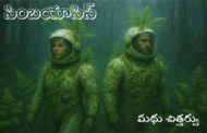 సింబయాసిస్