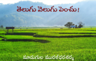 తెలుగు వెలుగు పెంచు!