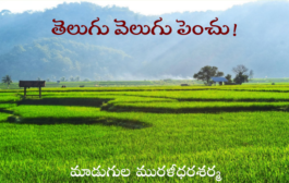 తెలుగు వెలుగు పెంచు!
