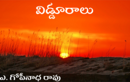 విడ్డూరాలు