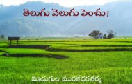 తెలుగు వెలుగు పెంచు!