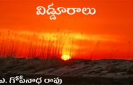 విడ్డూరాలు