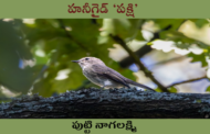 హనీగైడ్ ‘పక్షి’