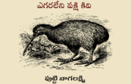 ఎగరలేని పక్షి కివి