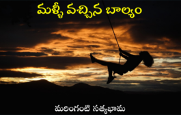 మళ్ళీ వచ్చిన బాల్యం