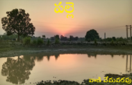 పల్లె