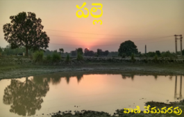 పల్లె