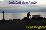 వయసుదే తుది గెలుపు