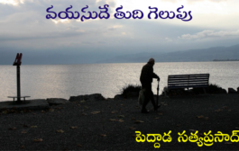 వయసుదే తుది గెలుపు