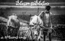 వేదనా నివేదనం