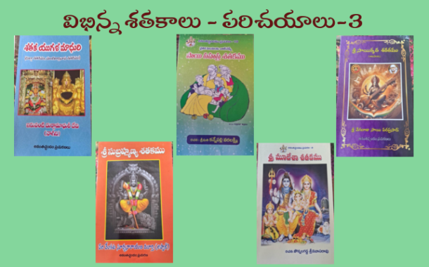 విభిన్న శతకాలు - పరిచయాలు-3