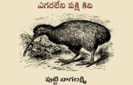 ఎగరలేని పక్షి కివి