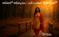 అడవిలో అమ్మాయి - ఒక ఒంటరి పయనంలో
