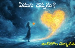 ఏమని చెప్పను?
