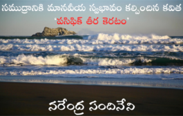 సముద్రానికి మానవీయ స్వభావం కల్పించిన కవిత ‘పసిఫిక్ తీర కెరటం’
