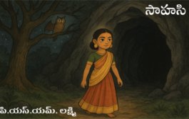 సాహసి